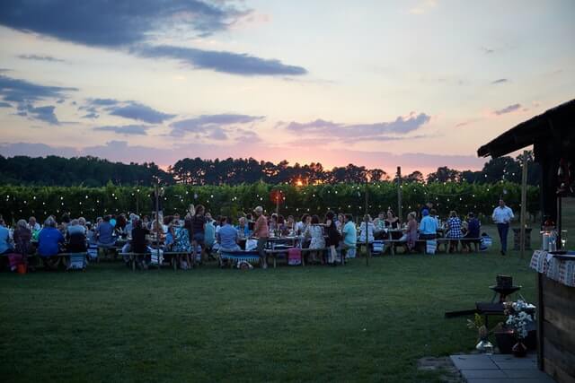 people-sitting-on-green-grass